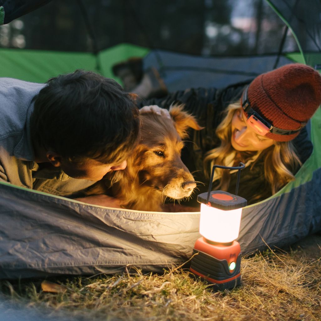 Camp Lantern 3D couple and dog in tent sitting in front of lit lantern