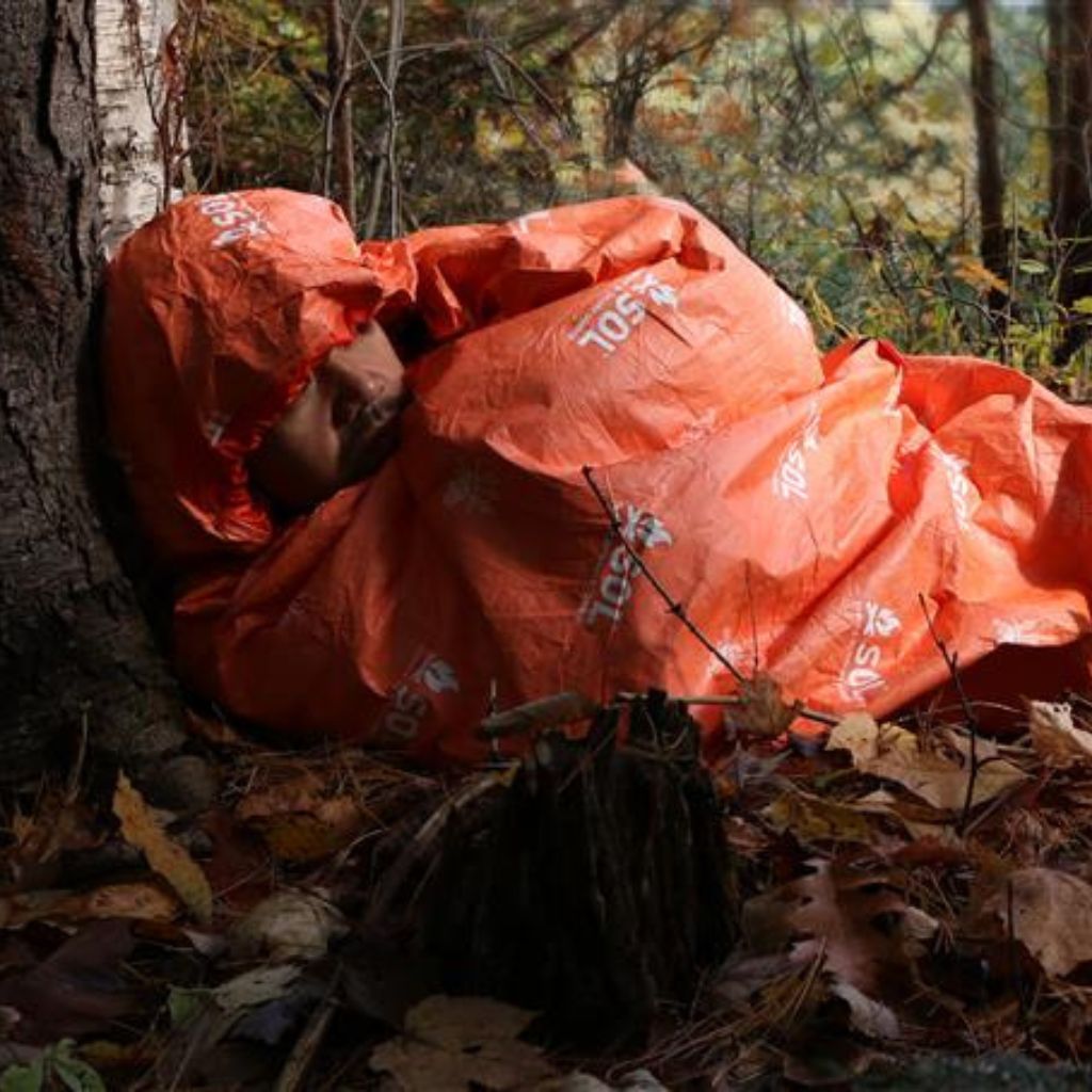 Orange plastic bag labeled 'Lost' on a tree in a forest setting
