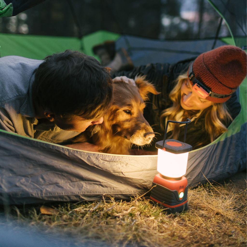 Camp Lantern Recharge with Power Bank couple and dog sitting in tent in front of lit lantern